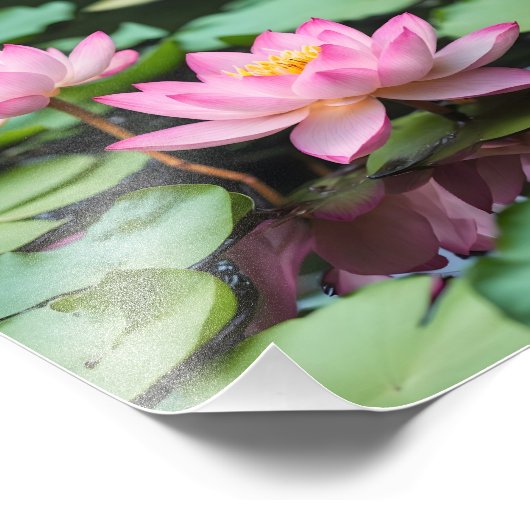 Roze lotus poster (Hoek)