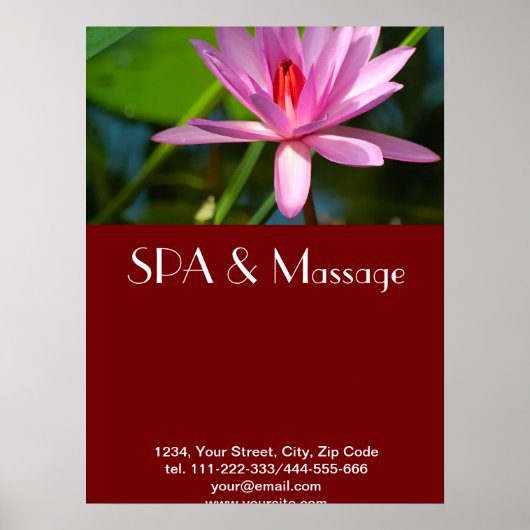 Roze lotus poster (Voorkant)