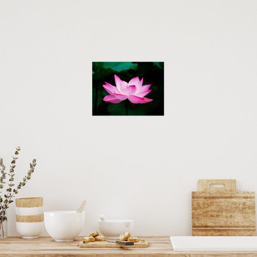 Roze Lotus Poster (Keuken)