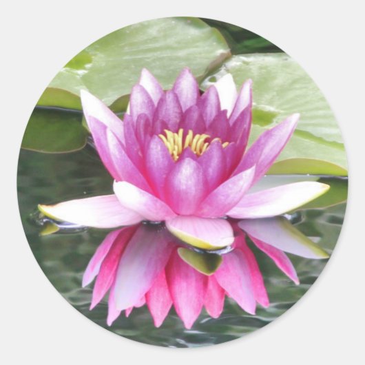  roze Lotus reflecterend Ronde Sticker (Voorkant)