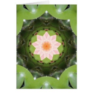 Roze Lotus Refraction