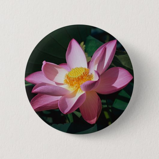 Roze Lotus Ronde Button 5,7 Cm (Voorkant)
