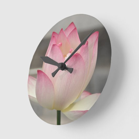 Roze Lotus Ronde Klok (Hoek)