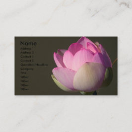 Roze Lotus Visitekaartje