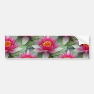 Roze Lotus Water Lily Bumpersticker