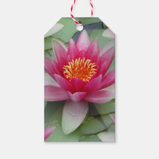 Roze Lotus Water Lily Cadeaulabel (Voorkant)