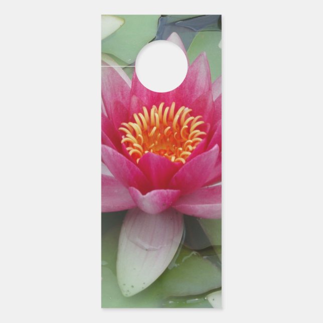Roze Lotus Water Lily door Hanger (Voorkant)