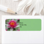 Roze Lotus Water Lily Etiket (Insitu)