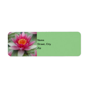 Roze Lotus Water Lily Etiket