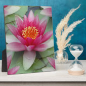 Roze Lotus Water Lily Fotoplaat (Zijkant)