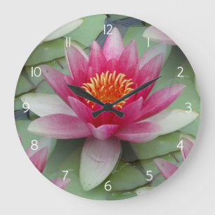 Roze Lotus Water Lily Grote Klok
