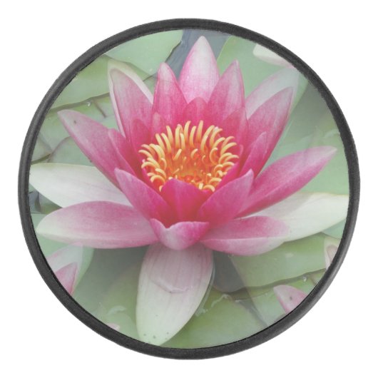 Roze Lotus Water Lily Hockey Puck (Voorkant)
