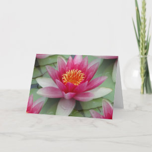 Roze Lotus Water Lily Kaart