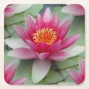 Roze Lotus Water Lily Kartonnen Onderzetters