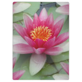 Roze Lotus Water Lily Klembord (Achterkant)