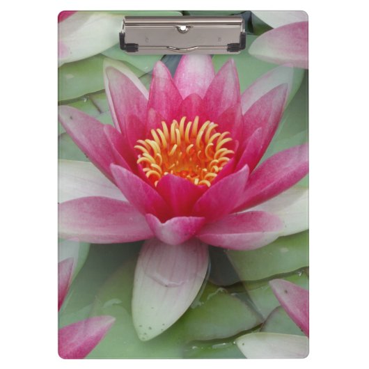 Roze Lotus Water Lily Klembord (Voorkant)
