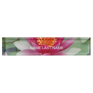 Roze Lotus Water Lily Naambordje