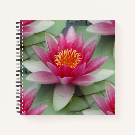 Roze Lotus Water Lily Notitieboek (Voorkant)