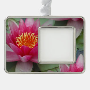 Roze Lotus Water Lily omwoeld Ornament
