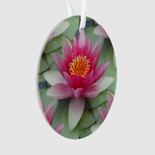 Roze Lotus Water Lily Ornament (voorkant)
