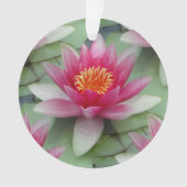 Roze Lotus Water Lily Ornament (voorkant)