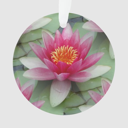 Roze Lotus Water Lily Ornament (voorkant)