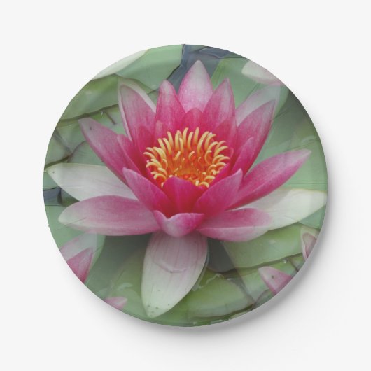 Roze Lotus Water Lily Papieren Bordje (Voorkant)