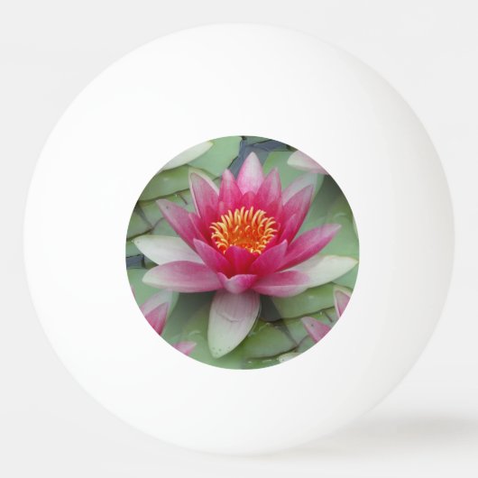Roze Lotus Water Lily Pingpongbal (Voorkant)