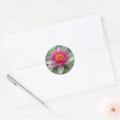 Roze Lotus Water Lily Ronde Sticker (Envelop)