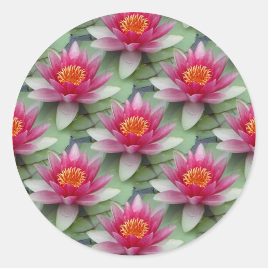 Roze Lotus Water Lily Ronde Sticker (Voorkant)