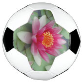 Roze Lotus Water Lily Voetbal (Gedraaid)