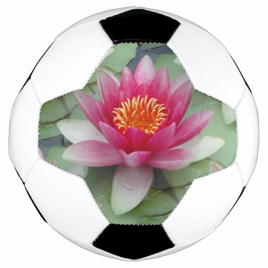 Roze Lotus Water Lily Voetbal (Voorkant)