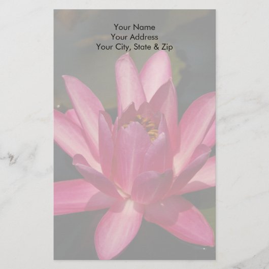 Roze Lotus Waterlelie Bloem Briefpapier (Voorkant)