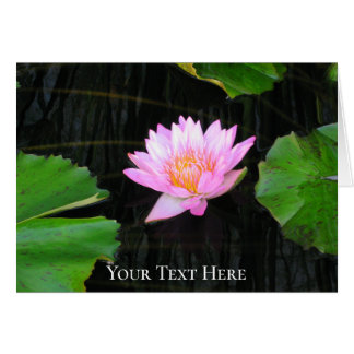 Roze Lotus Waterlily