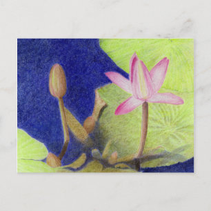 Roze Lotus Waterlily briefkaart