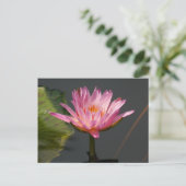 Roze Lotus Waterlily Briefkaart (Staand voorkant)