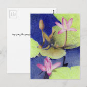Roze Lotus Waterlily Briefkaart (Voorkant / Achterkant)