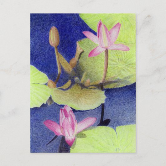 Roze Lotus Waterlily Briefkaart (Voorkant)