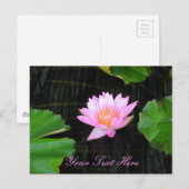 Roze Lotus Waterlily Briefkaart (Voorkant / Achterkant)