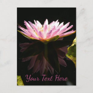Roze Lotus Waterlily Briefkaart
