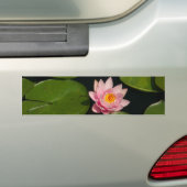 Roze Lotus Waterlily Bumpersticker (Op auto)