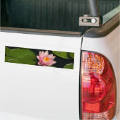 Roze Lotus Waterlily Bumpersticker (Op Truck)
