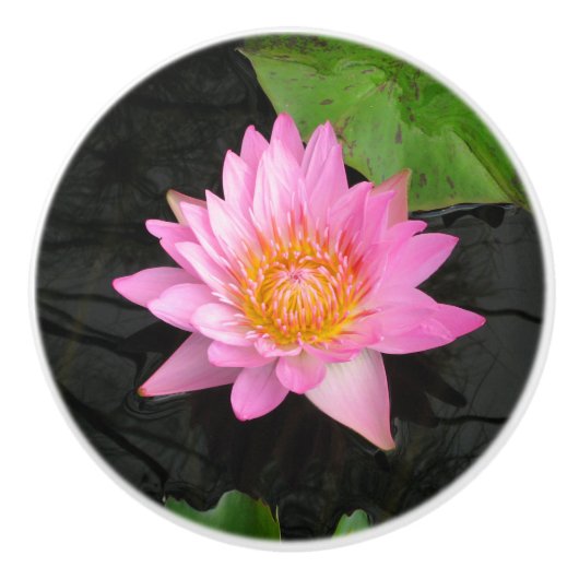 Roze Lotus Waterlily Ceramic Knob Keramische Knop (Voorkant)