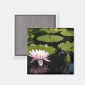 Roze Lotus Waterlily Dragonfly magnet (Voorkant / Achterkant)