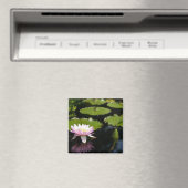 Roze Lotus Waterlily Dragonfly magnet (Insitu (Vaatwasser))