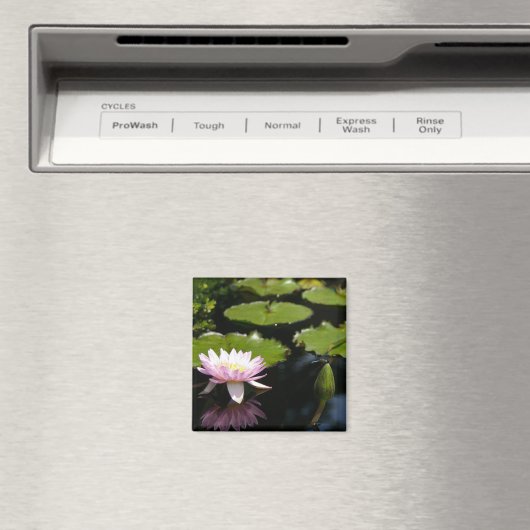 Roze Lotus Waterlily Dragonfly magnet (Insitu (Vaatwasser))