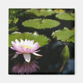 Roze Lotus Waterlily Dragonfly magnet