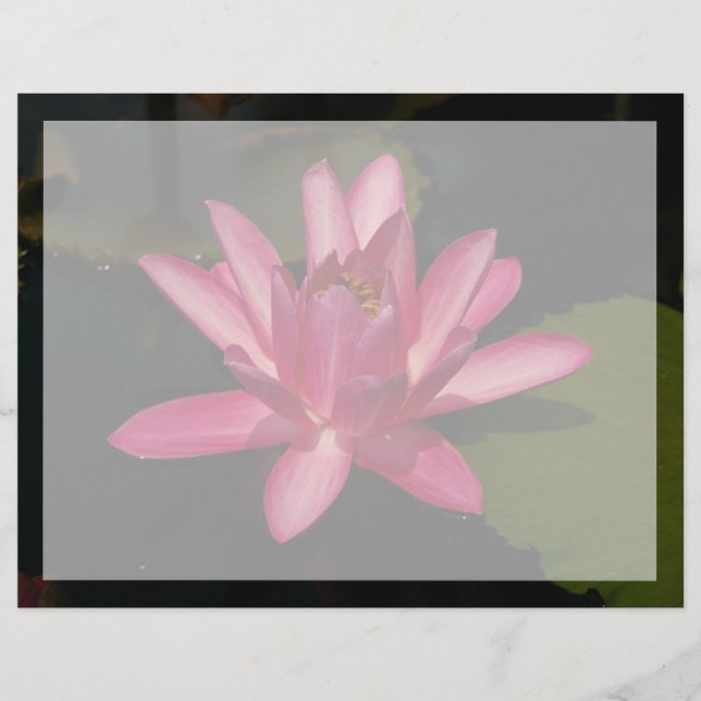Roze Lotus Waterlily Flower (Voorkant)