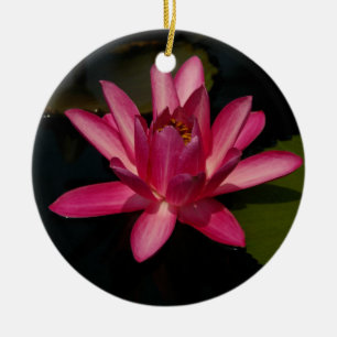 Roze Lotus Waterlily Flower Ornament