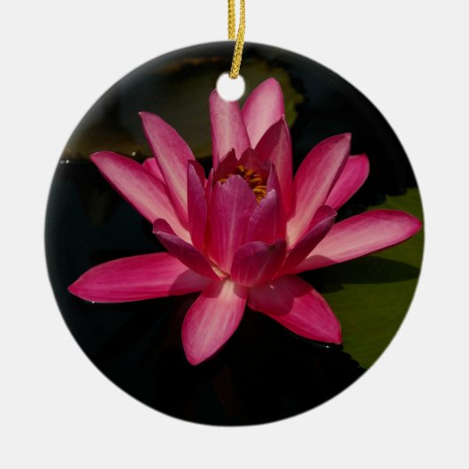Roze Lotus Waterlily Flower Ornament (Voorkant)